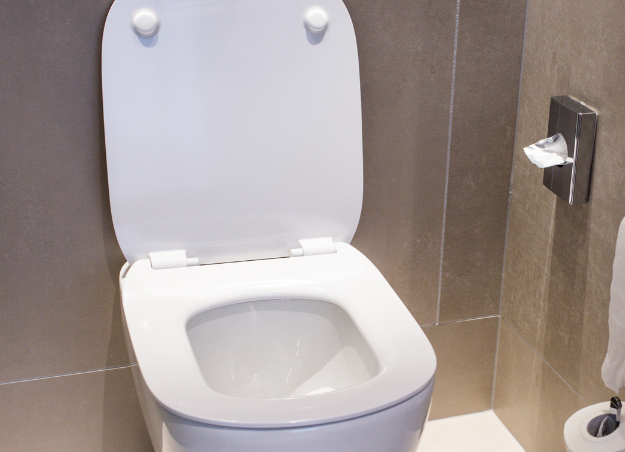 new toilet installed